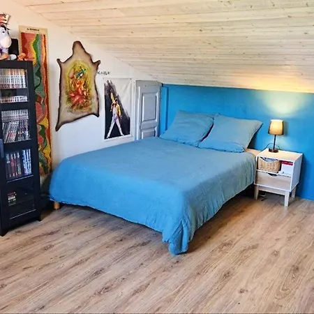 Villa Du Devois Vailhauques