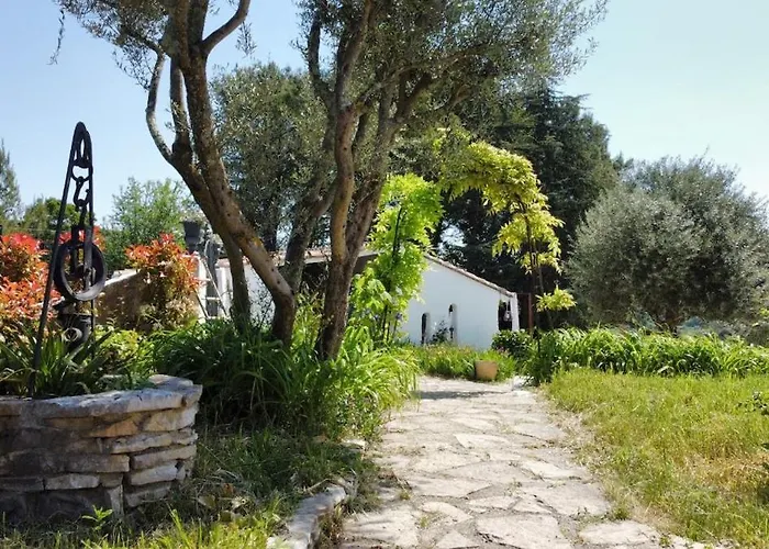 Du Devois * Vailhauques